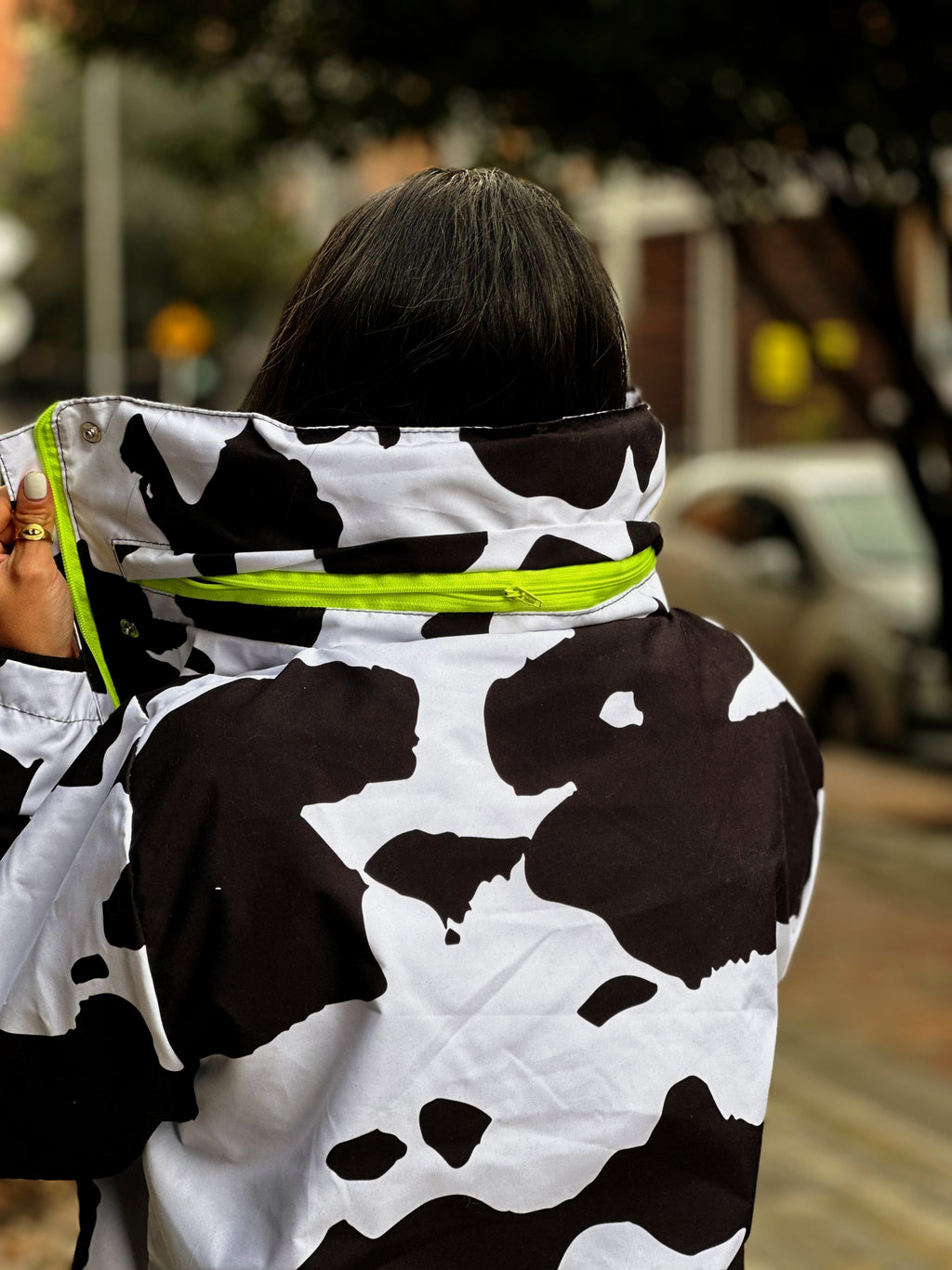PARKA ABDUCTION🐄